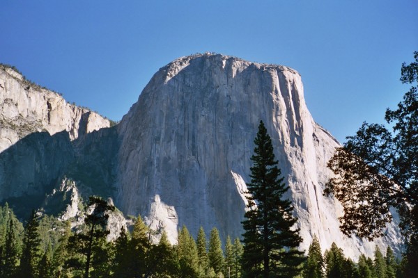 El Capitan, with conifers in foregound.