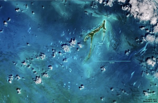 Satellite view of a cay in the Northern Bahamas, with small patches of whitings colouring the seas around it.