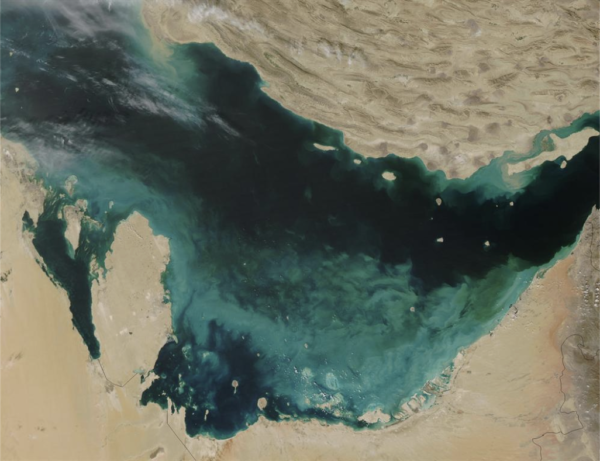The Persian Gulf, viewed from space. On the southern edge, the dark blue water is turned milky by clouds of newly crystallised calcium carbonate suspended in the water column.