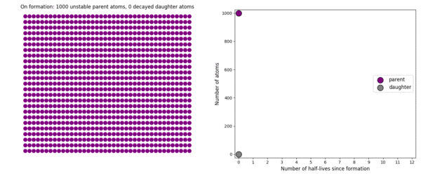 In this simulation, 1000 purple parent atoms are decaying into gr??????ey daughter atoms. Multiple runs show that this is a random, but predictable process