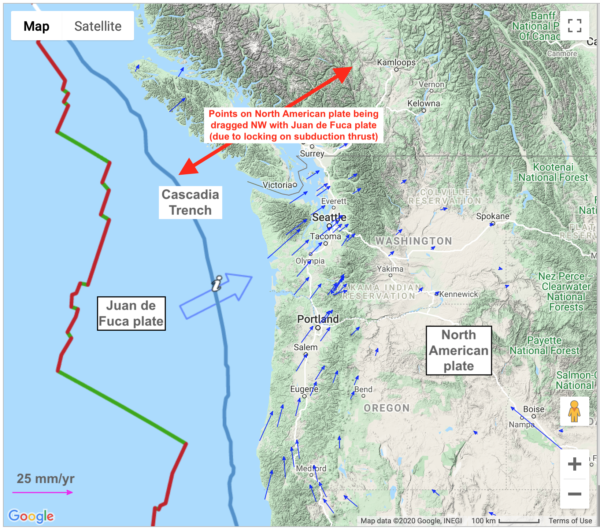 Map of the Pacific North west, showing northwest motion of GPS stations above the locked Cascadia subduction thrust.