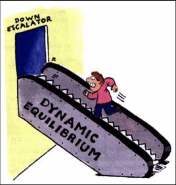 Cartoon image of a person with a pink shirt and blue trousers and an exaggerated grimace of effort running up an escalator that goes from the floor on the left to a doorway in a wall on the right. The doorway has the text 'down escalator' above it, indicating that the person is running up a downward moving escalator. The escalator itself is labelled "dynamic equilibrium".