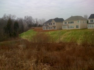 Stormwater wetland, sodded slope, and new houses