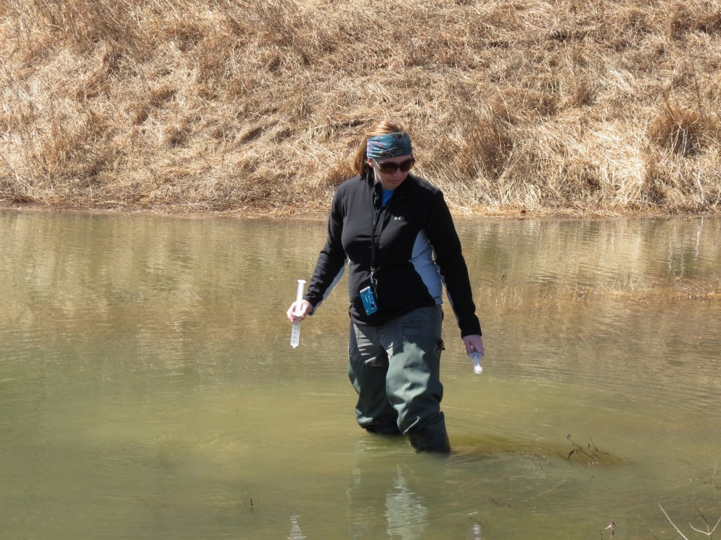 Krista Booth collects a water sample from Lake Perez, which integrates all of the other watersheds we sampled.