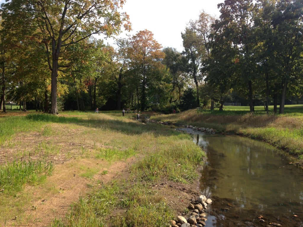 One of the study streams, 3 months post-restoration.